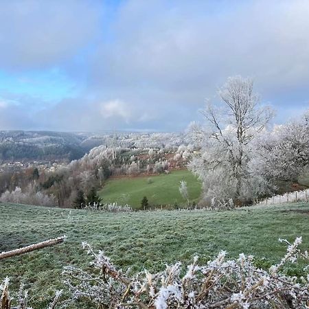 הוילה Terrasses De Malmedy- Le Chalet Du Cerf 108 & Triplex 223 Le Refuge Du Cerf מראה חיצוני תמונה