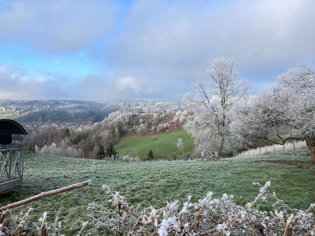 הוילה Terrasses De Malmedy- Le Chalet Du Cerf 108 & Triplex 223 Le Refuge Du Cerf מראה חיצוני תמונה